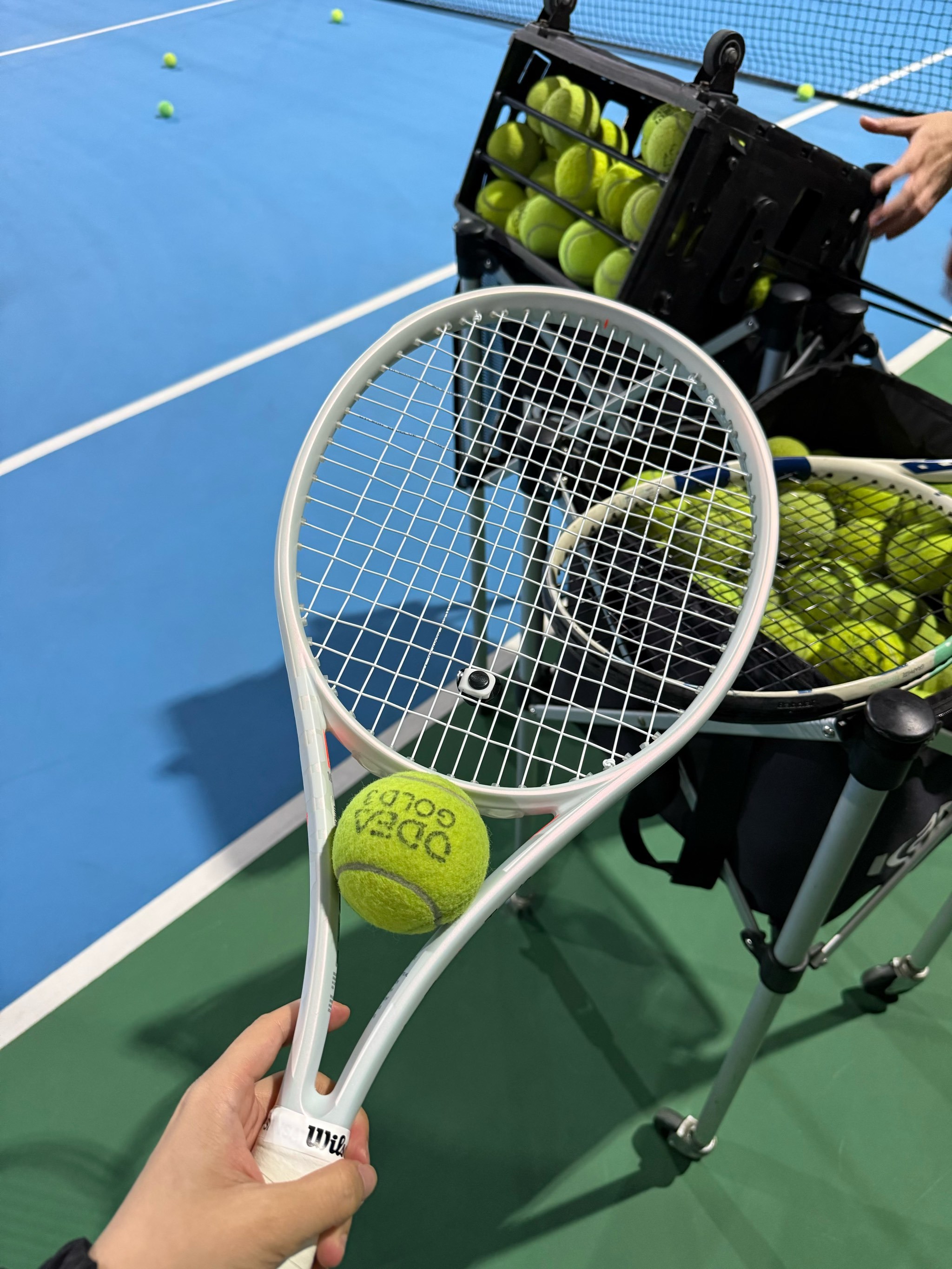 有可能顺利 有可能顺利