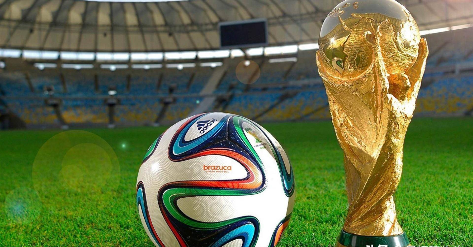 了一定影响 了一定影响